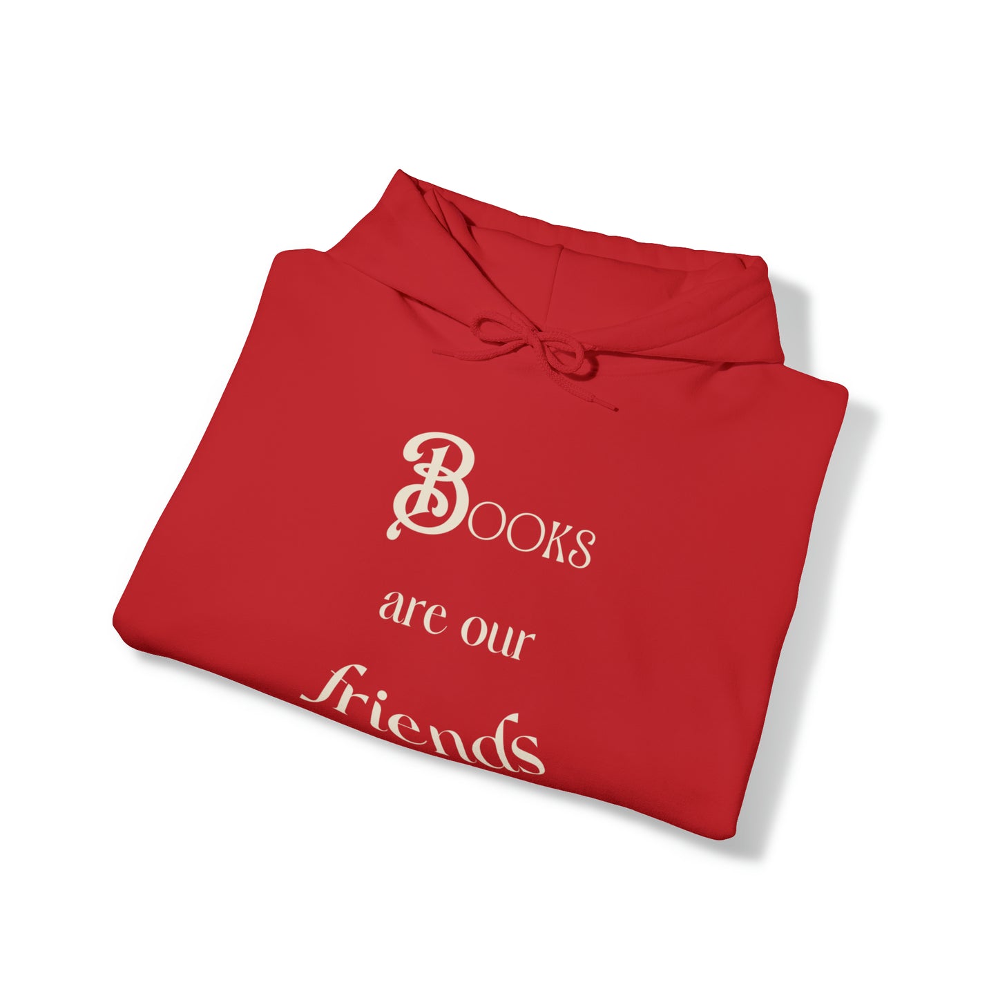 Books Are Our Friends #2 - Hooded Sweatshirt US